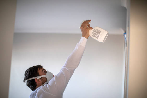 Best Preventive Mold Services in Blanding, UT