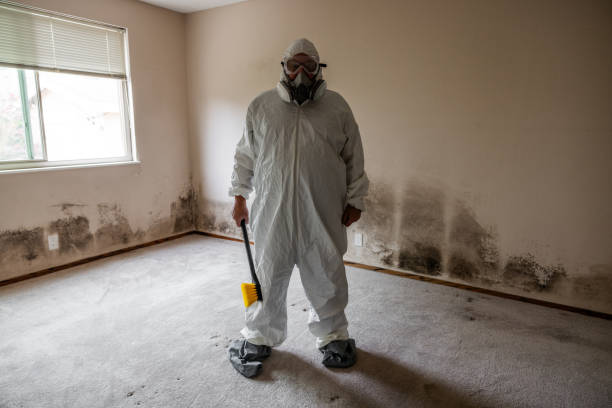 Best Mold Remediation for Specific Building Types in Blanding, UT